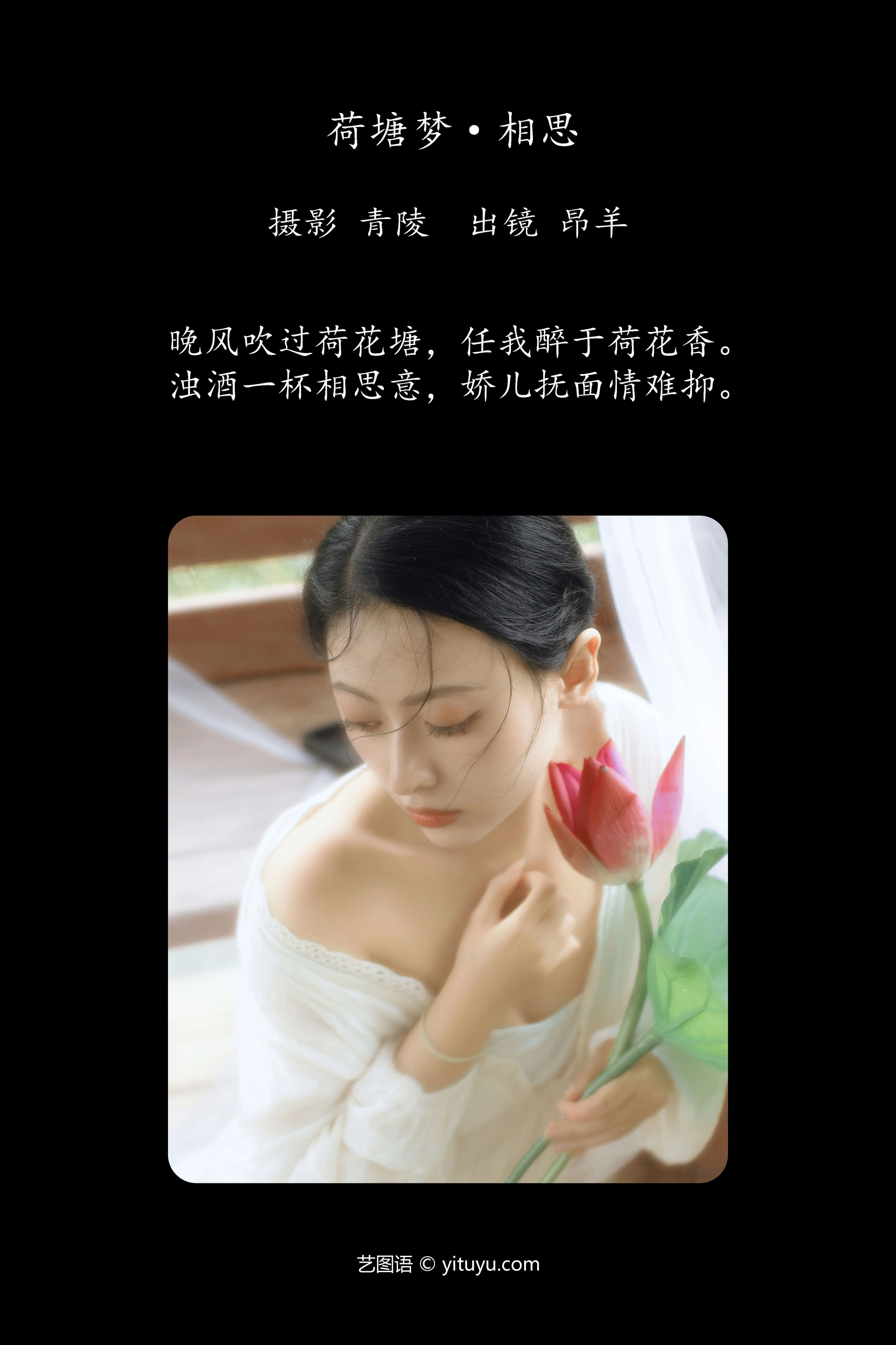 [YITUYU艺图语]2024.09.28 荷塘梦·相思 是昂羊呀 0